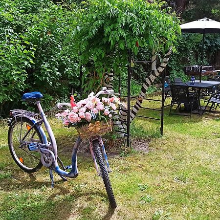 Willa Retro Hostel Krasków Εξωτερικό φωτογραφία