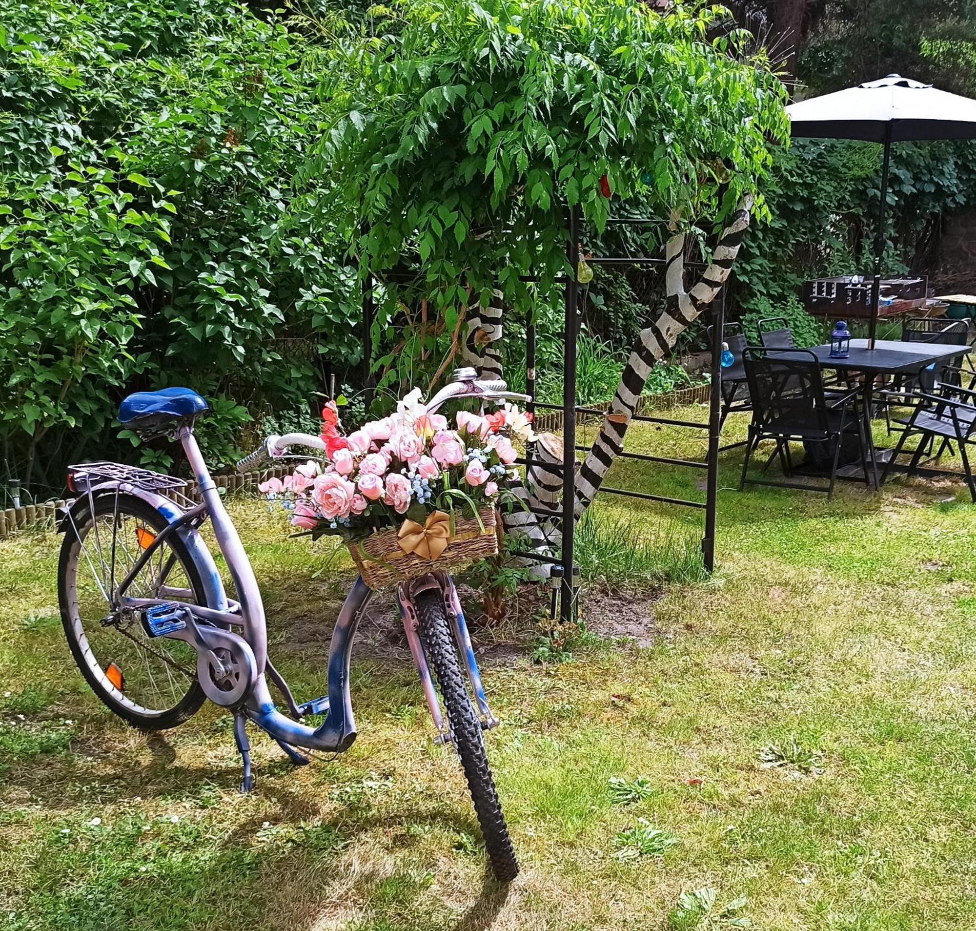 Willa Retro Hostel Krasków Εξωτερικό φωτογραφία