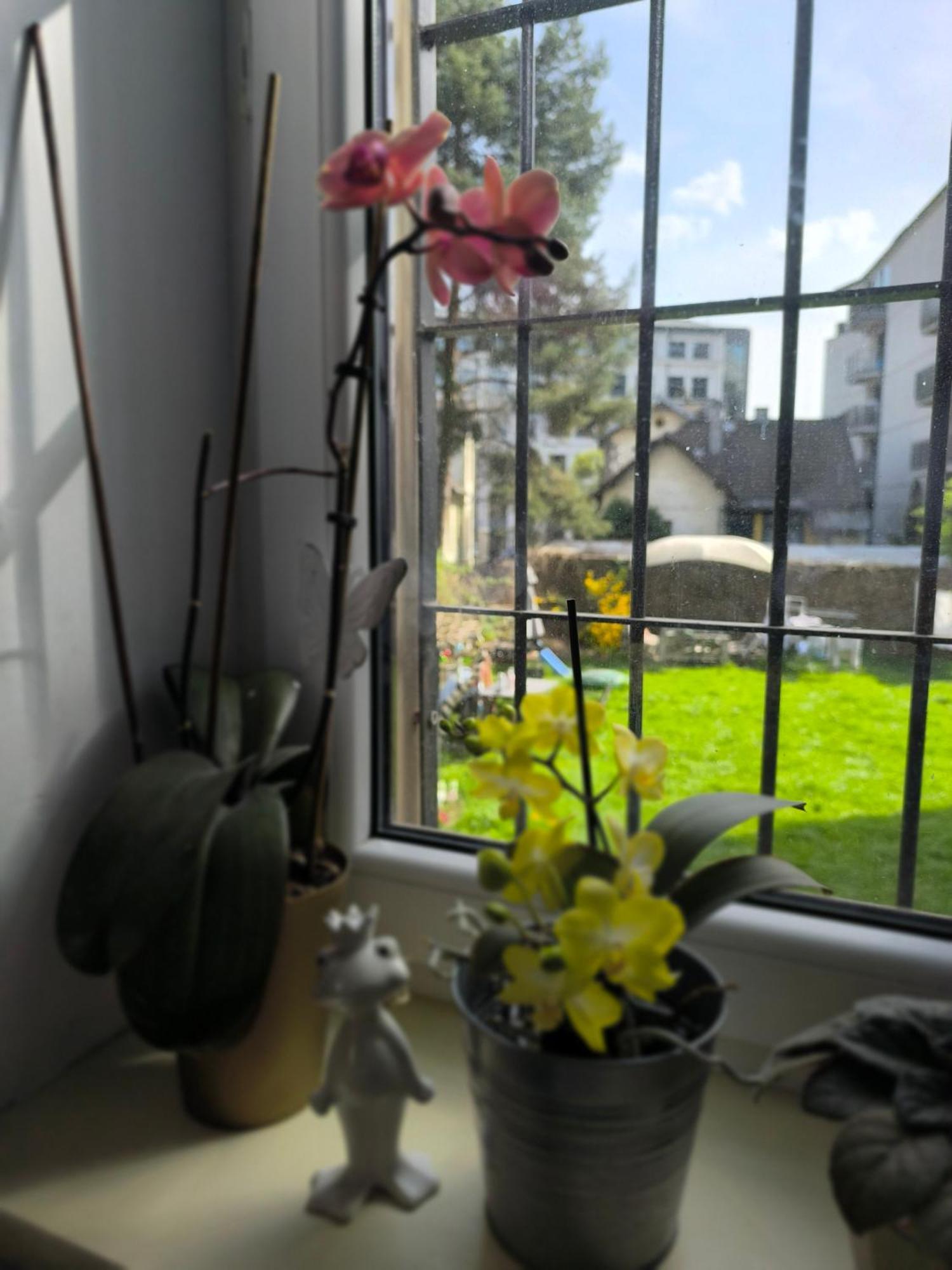 Willa Retro Hostel Krasków Εξωτερικό φωτογραφία